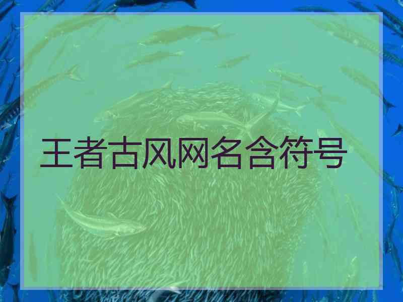 王者古风网名含符号