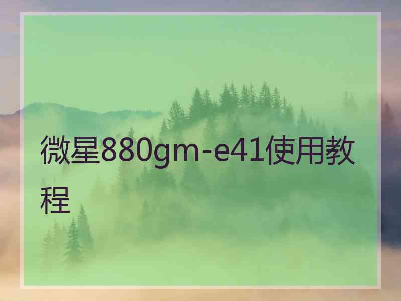 微星880gm-e41使用教程