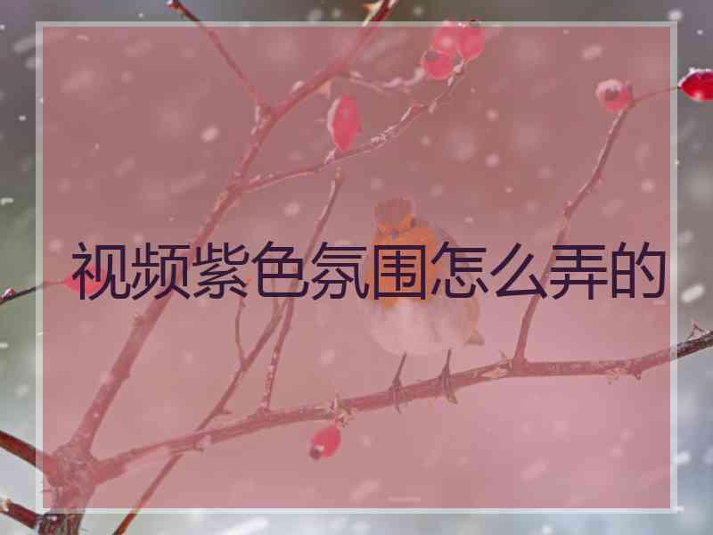 视频紫色氛围怎么弄的