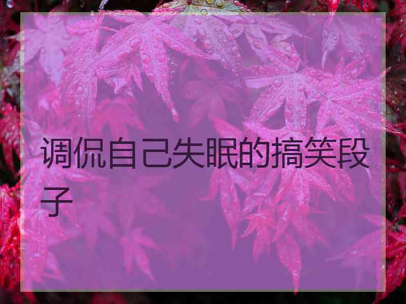 调侃自己失眠的搞笑段子