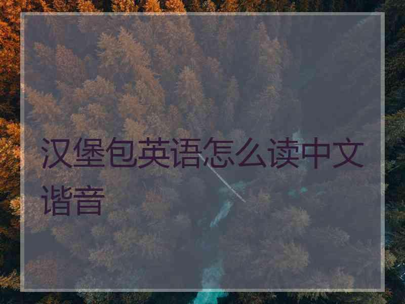 汉堡包英语怎么读中文谐音