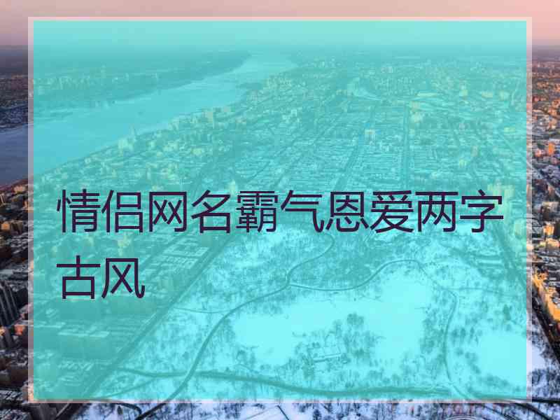 情侣网名霸气恩爱两字古风