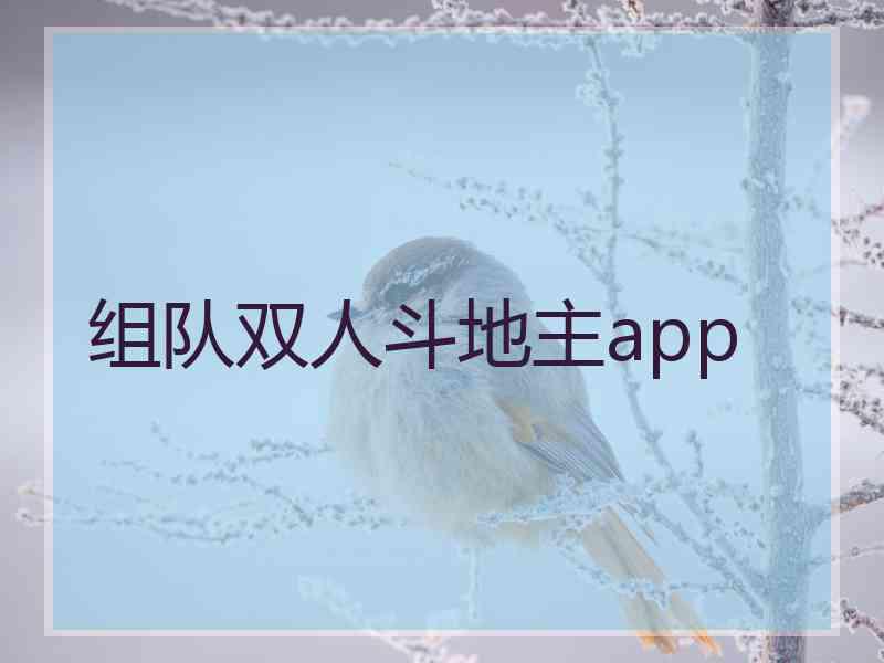 组队双人斗地主app