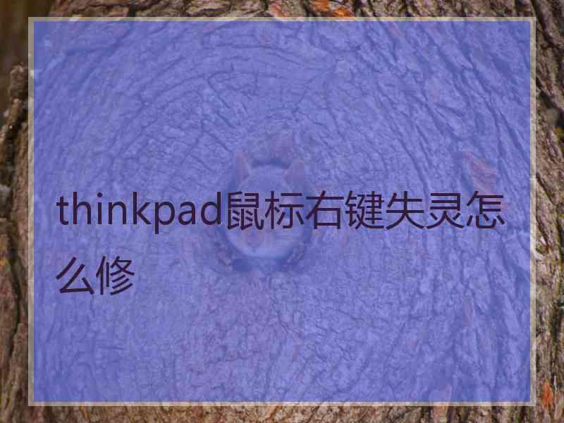 thinkpad鼠标右键失灵怎么修