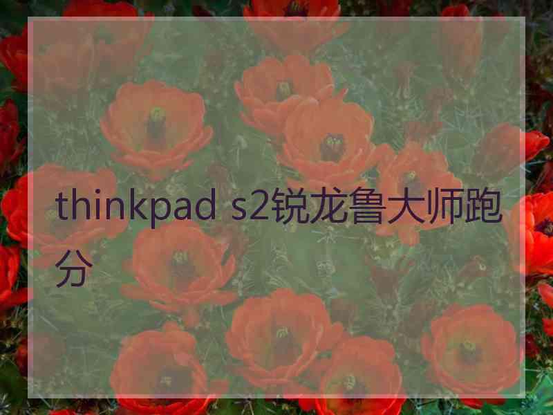 thinkpad s2锐龙鲁大师跑分