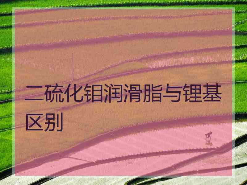 二硫化钼润滑脂与锂基区别