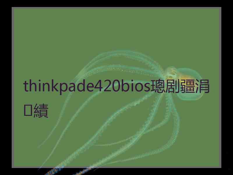 thinkpade420bios璁剧疆涓績