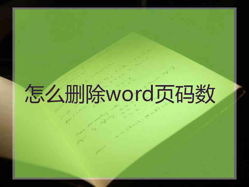 怎么删除word页码数