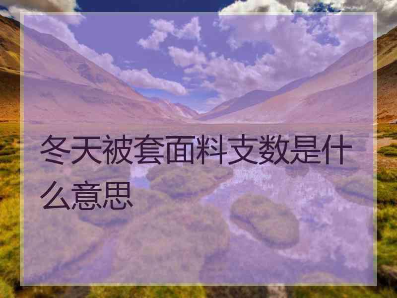 冬天被套面料支数是什么意思