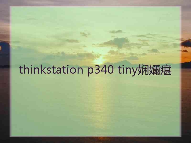 thinkstation p340 tiny娴嬭瘎