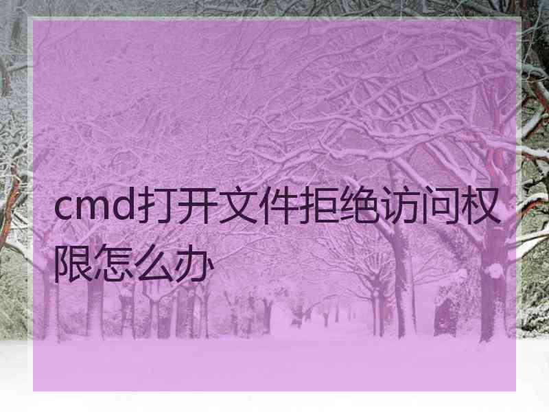 cmd打开文件拒绝访问权限怎么办