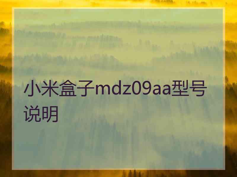 小米盒子mdz09aa型号说明