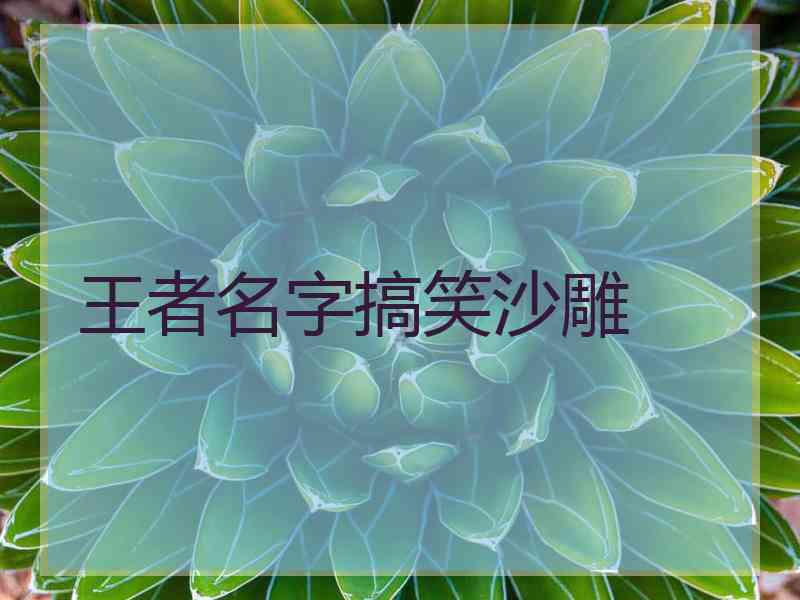 王者名字搞笑沙雕