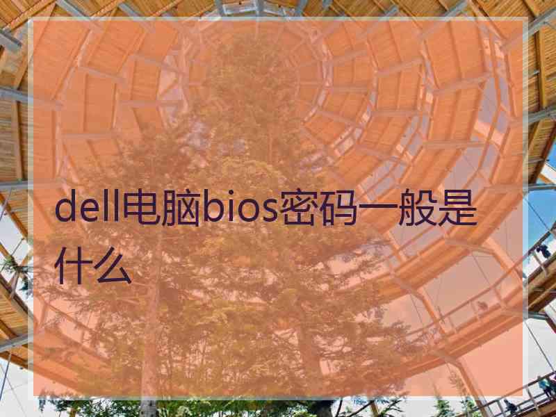 dell电脑bios密码一般是什么