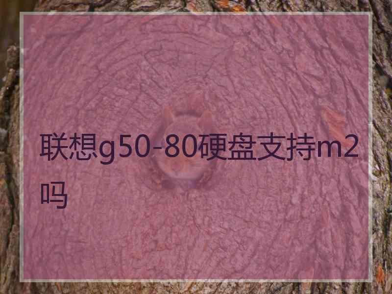 联想g50-80硬盘支持m2吗