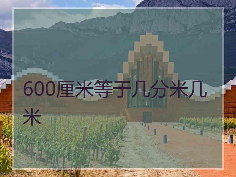 600厘米等于几分米几米