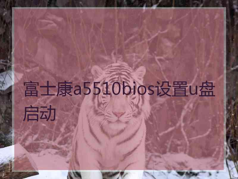 富士康a5510bios设置u盘启动