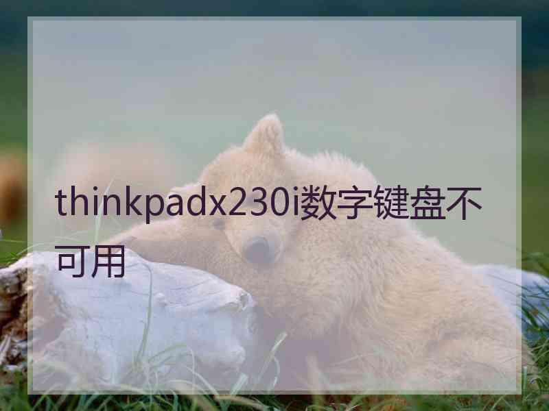 thinkpadx230i数字键盘不可用