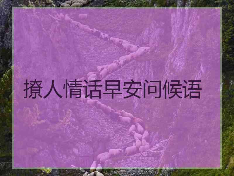 撩人情话早安问候语