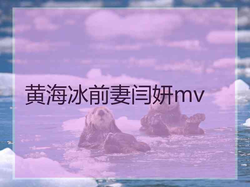 黄海冰前妻闫妍mv