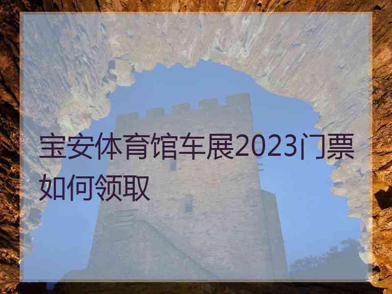 宝安体育馆车展2023门票如何领取