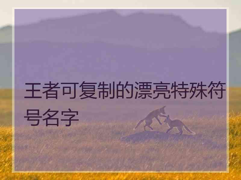 王者可复制的漂亮特殊符号名字