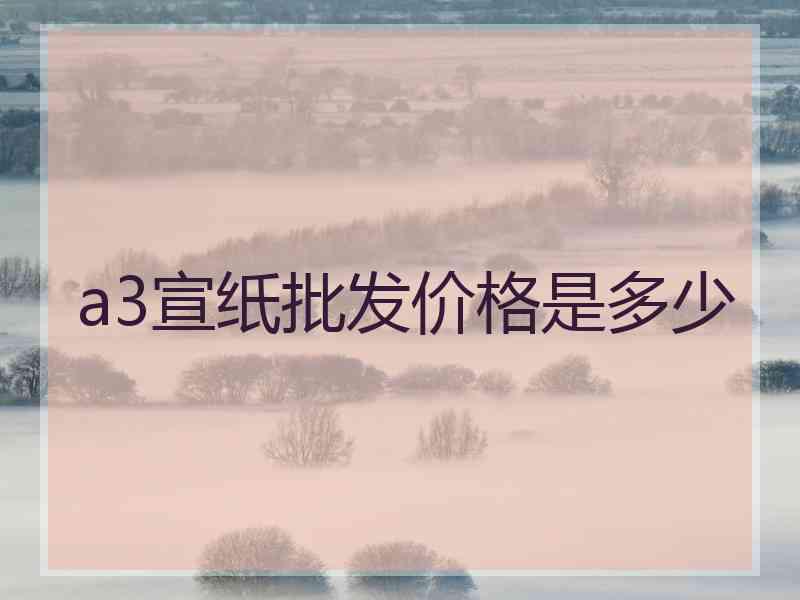 a3宣纸批发价格是多少