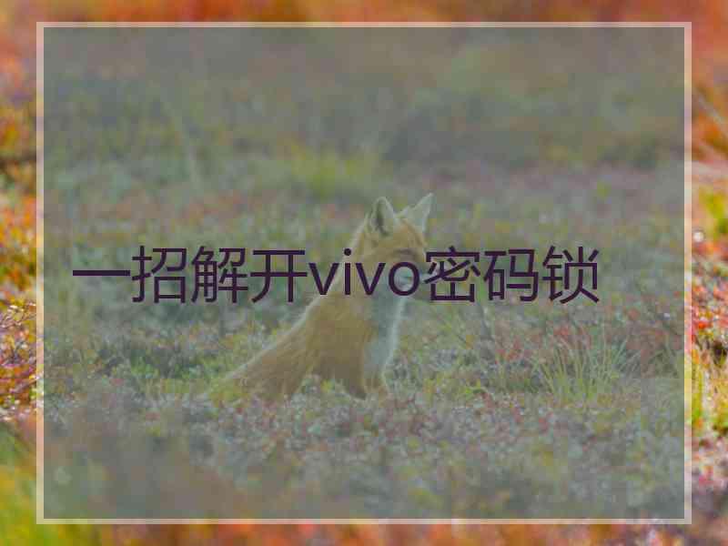 一招解开vivo密码锁