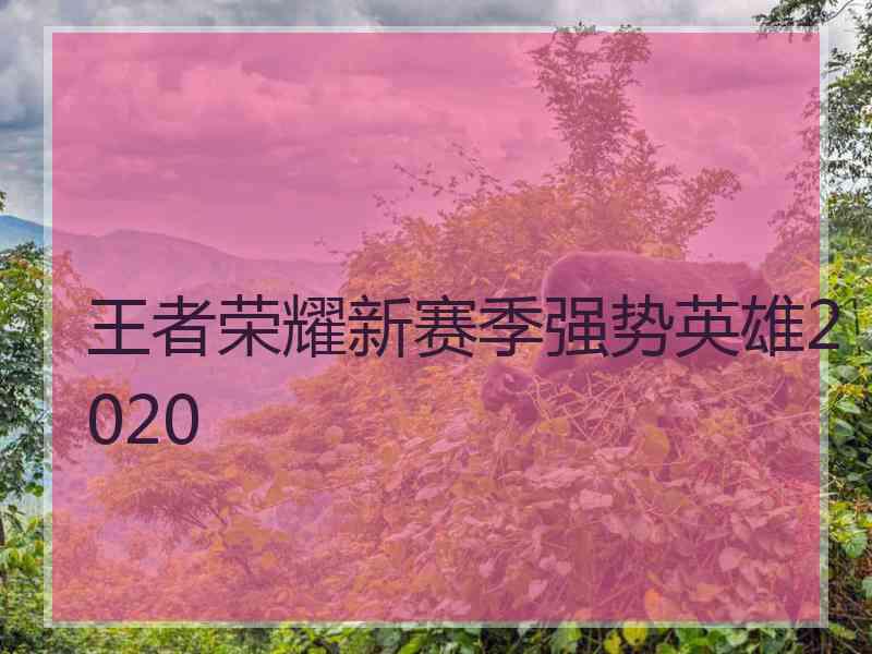 王者荣耀新赛季强势英雄2020