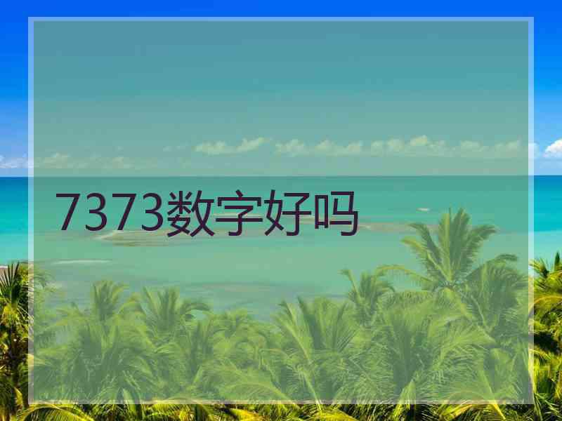 7373数字好吗