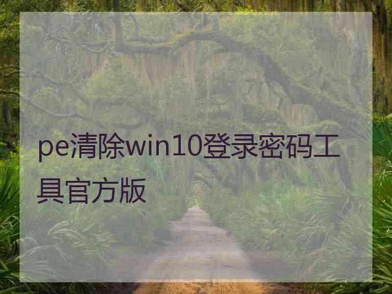 pe清除win10登录密码工具官方版