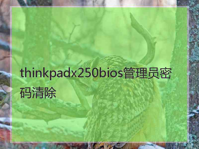 thinkpadx250bios管理员密码清除