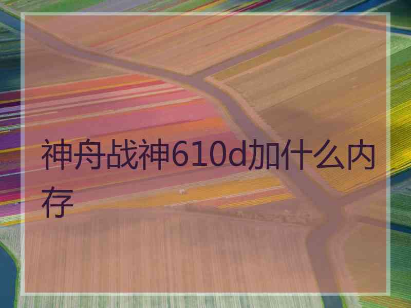 神舟战神610d加什么内存