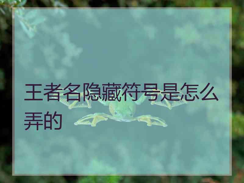 王者名隐藏符号是怎么弄的