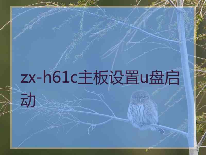 zx-h61c主板设置u盘启动