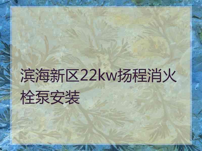 滨海新区22kw扬程消火栓泵安装