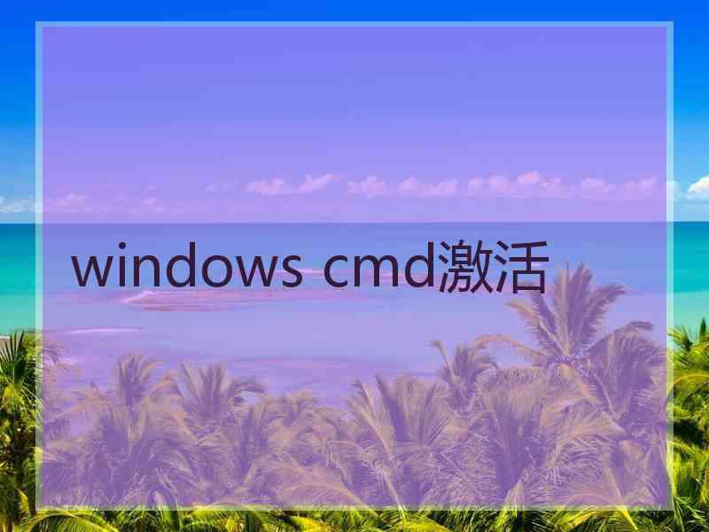 windows cmd激活