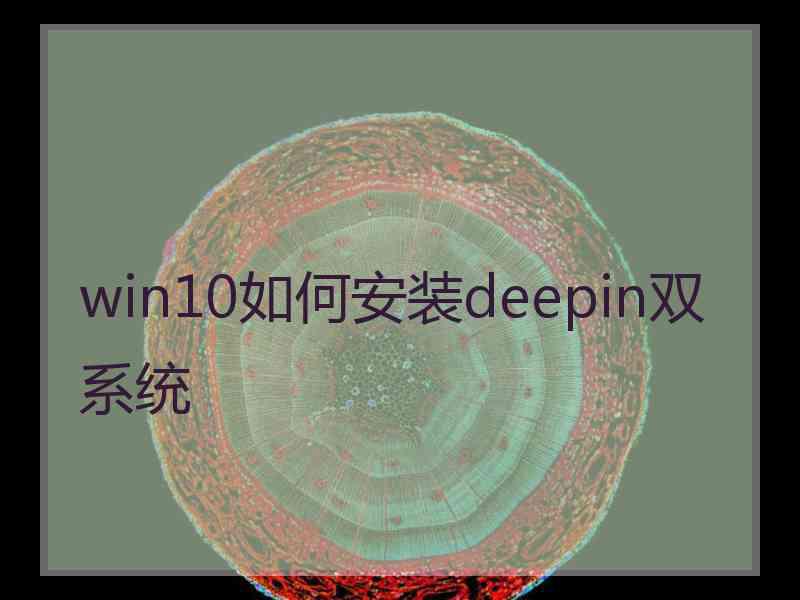 win10如何安装deepin双系统