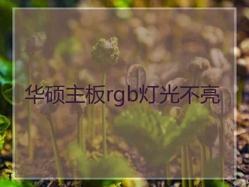 华硕主板rgb灯光不亮