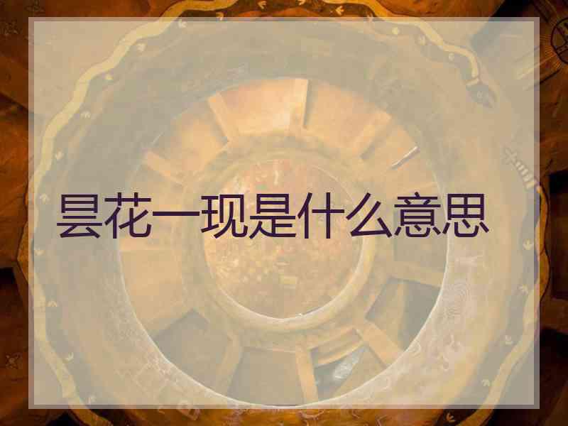 昙花一现是什么意思