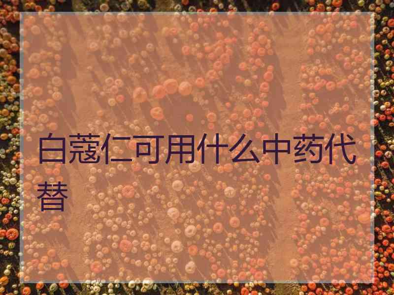 白蔻仁可用什么中药代替