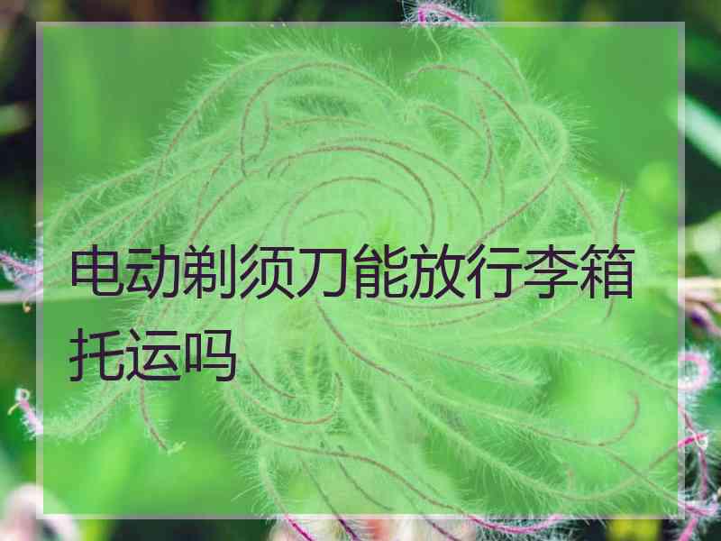 电动剃须刀能放行李箱托运吗