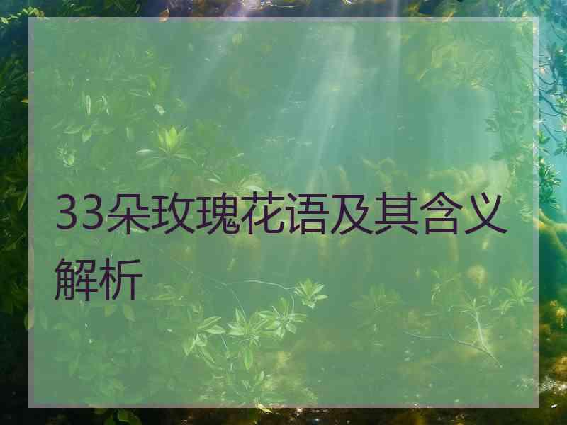 33朵玫瑰花语及其含义解析