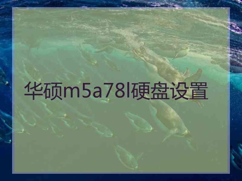 华硕m5a78l硬盘设置