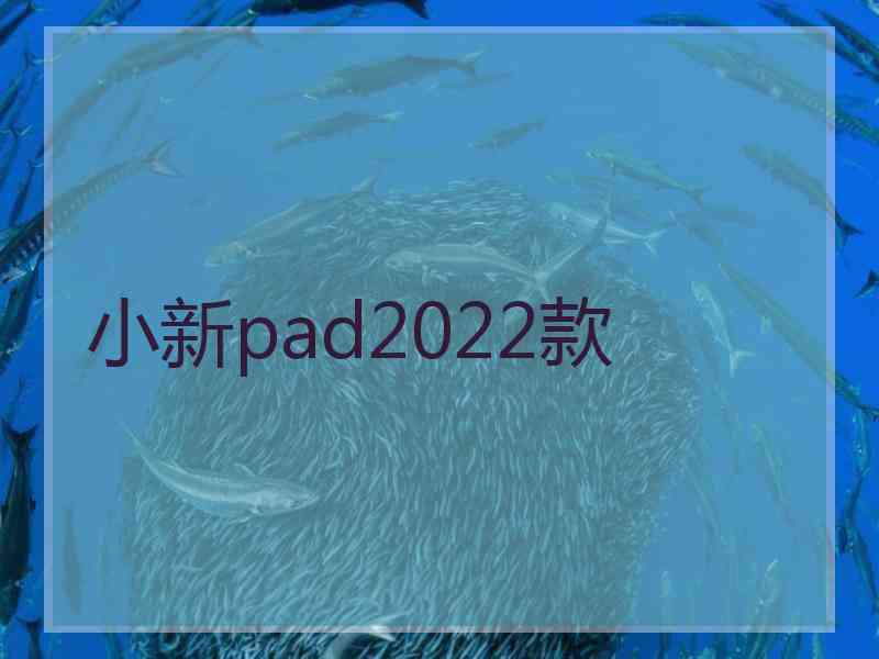 小新pad2022款