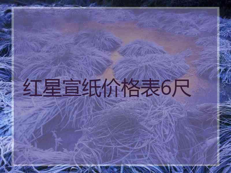 红星宣纸价格表6尺