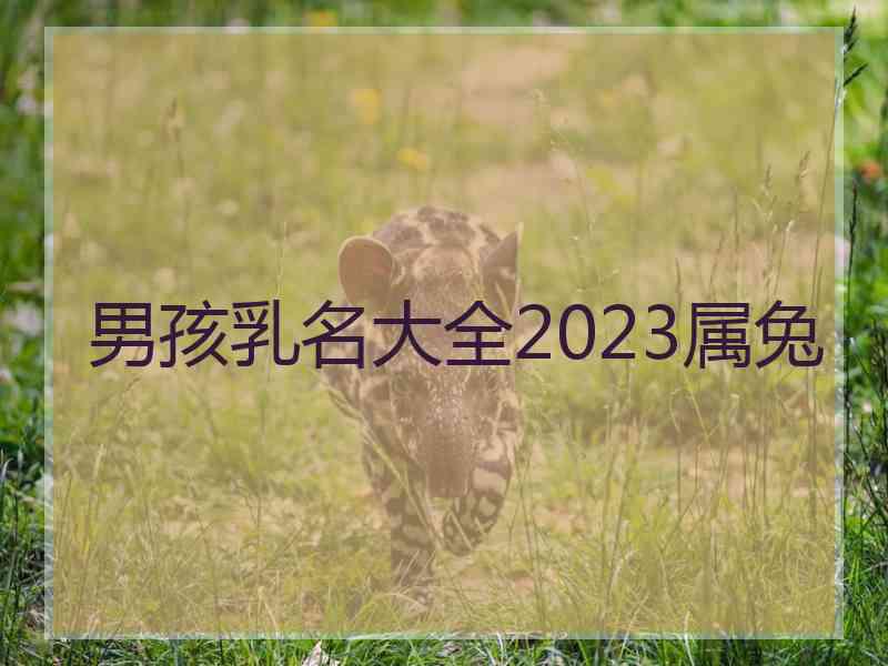 男孩乳名大全2023属兔