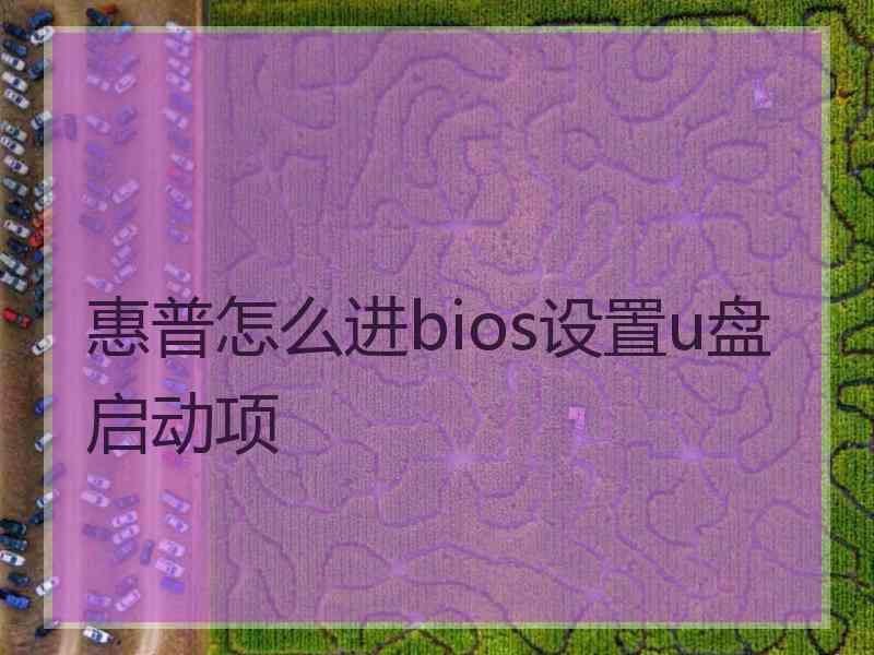 惠普怎么进bios设置u盘启动项