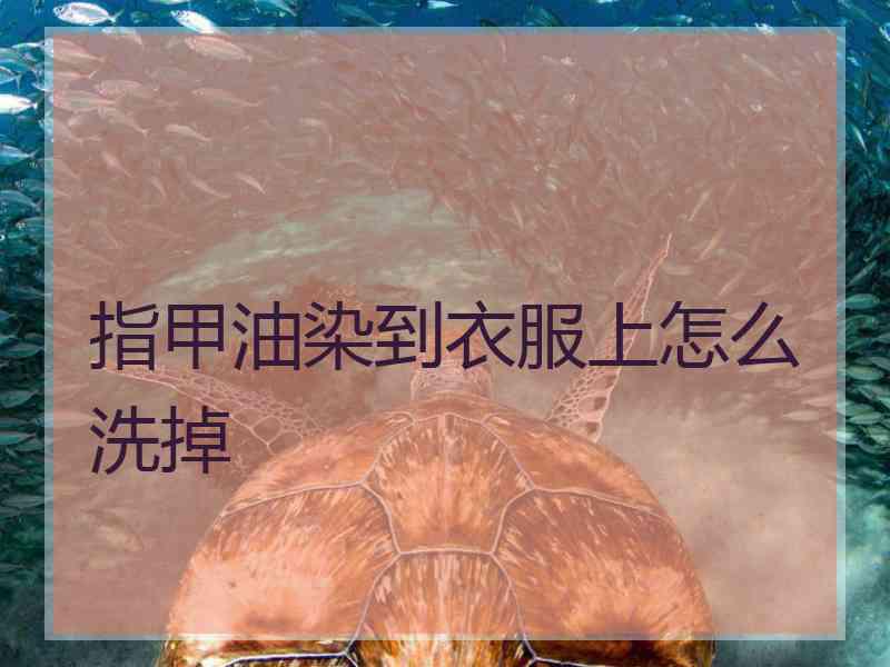 指甲油染到衣服上怎么洗掉