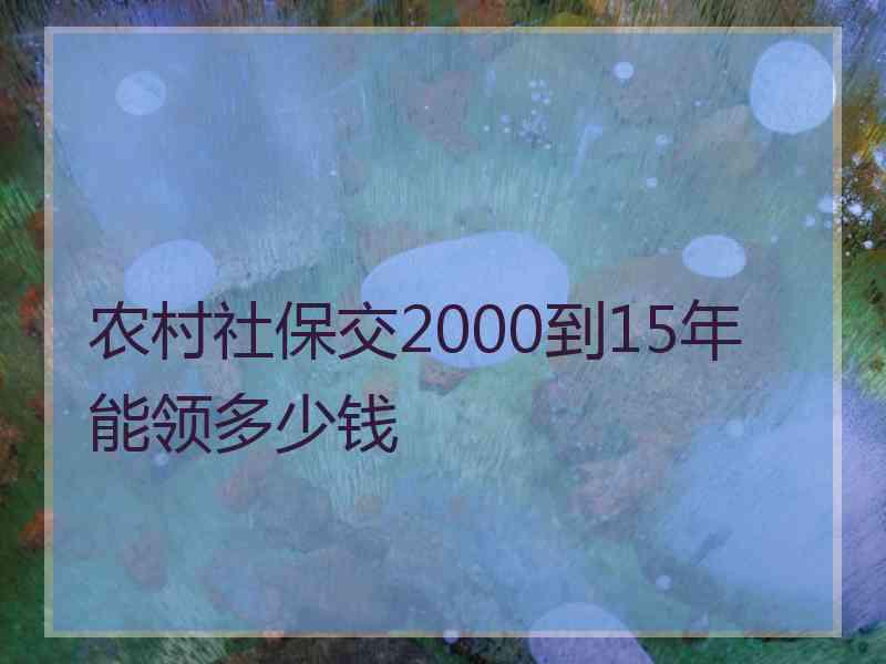 农村社保交2000到15年能领多少钱